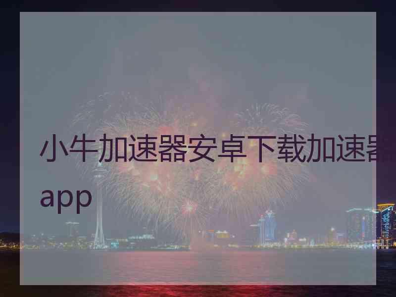 小牛加速器安卓下载加速器app