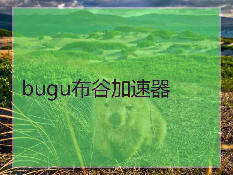 bugu布谷加速器