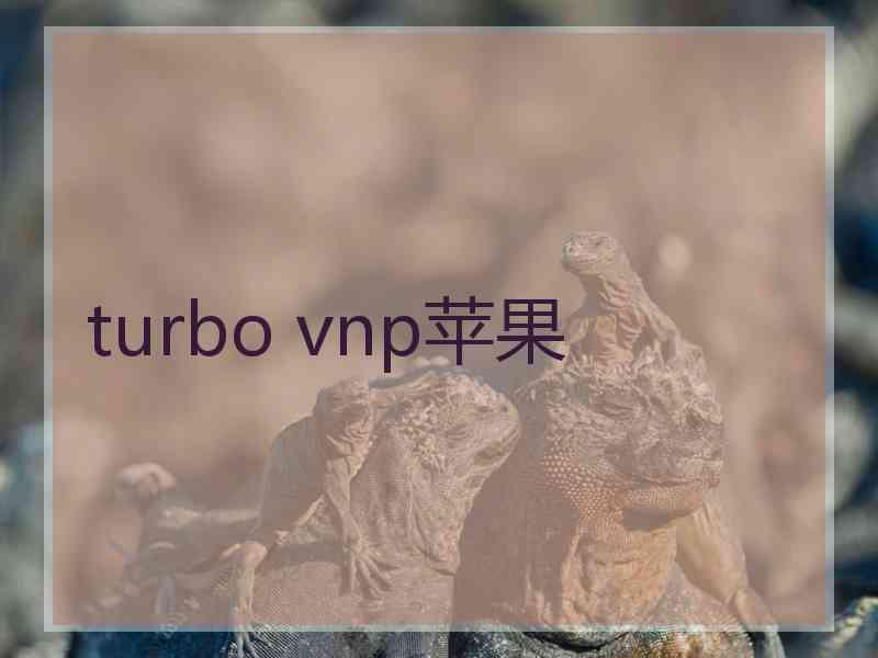 turbo vnp苹果