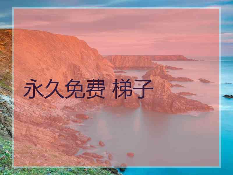 永久免费 梯子