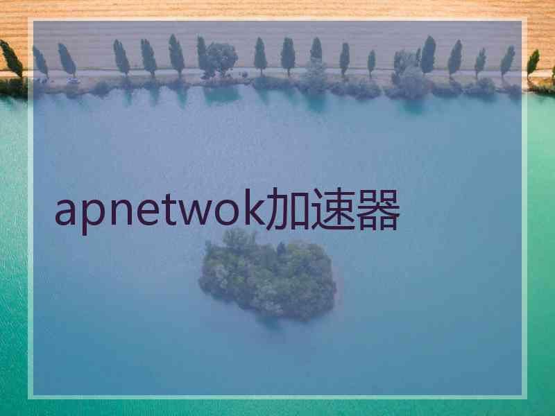 apnetwok加速器