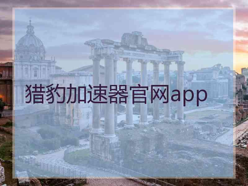 猎豹加速器官网app