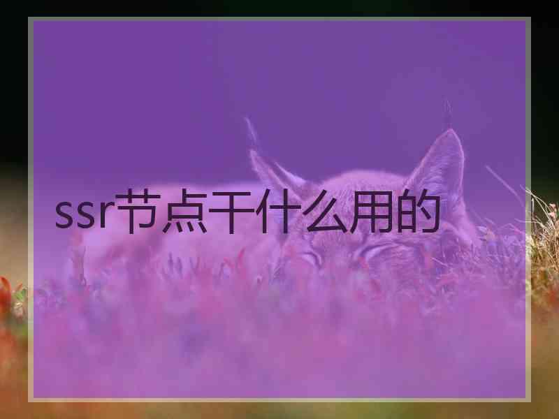 ssr节点干什么用的