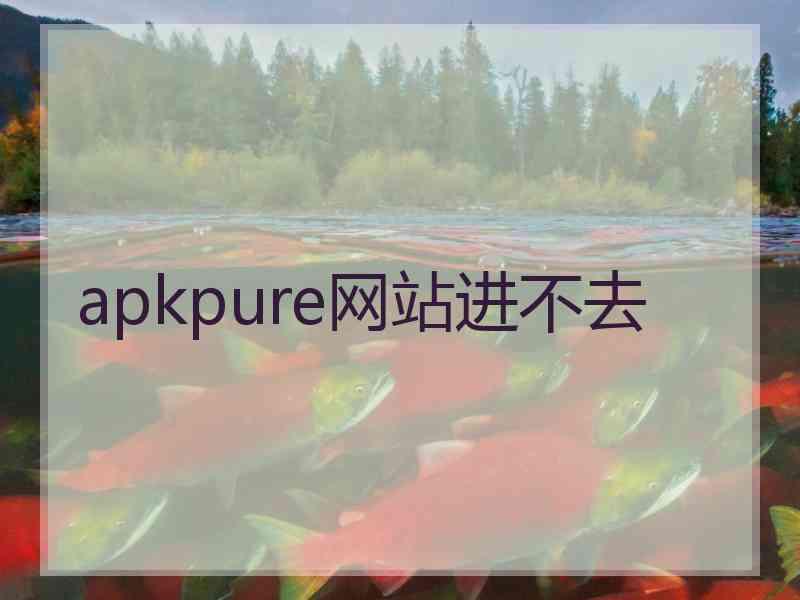 apkpure网站进不去