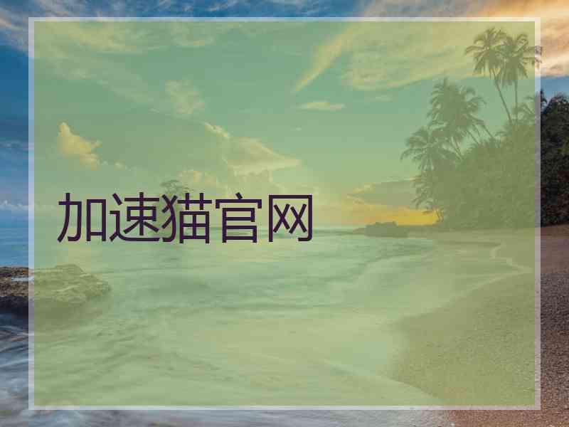 加速猫官网