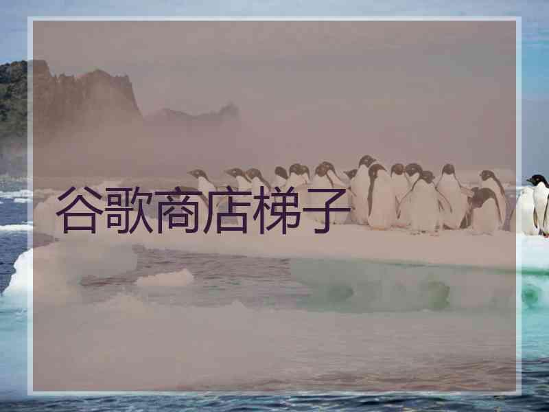 谷歌商店梯子