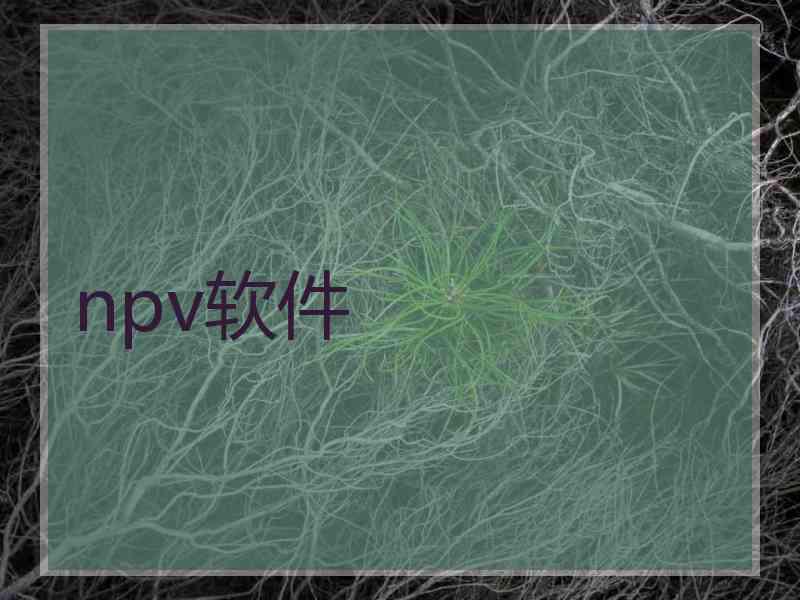 npv软件