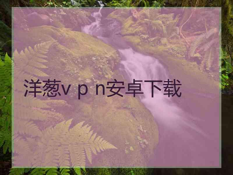 洋葱v p n安卓下载