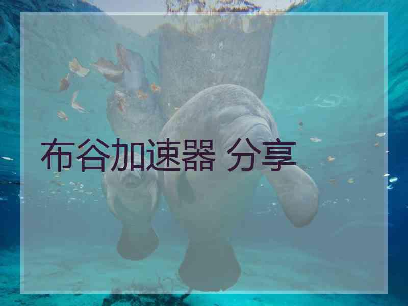 布谷加速器 分享