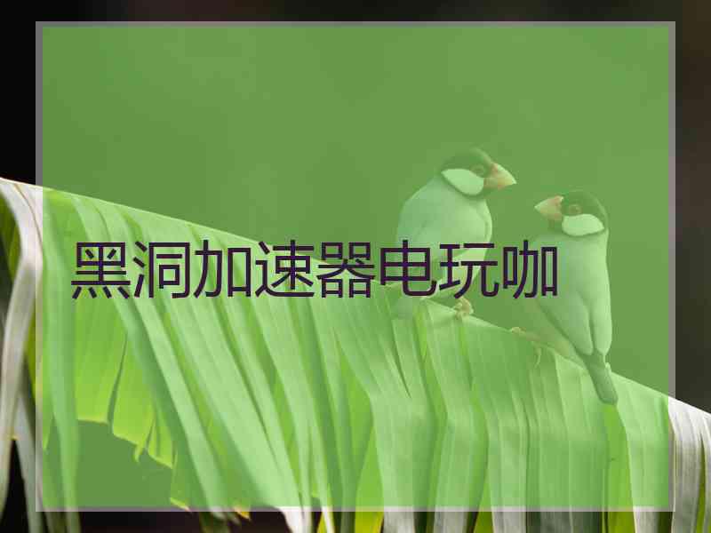 黑洞加速器电玩咖