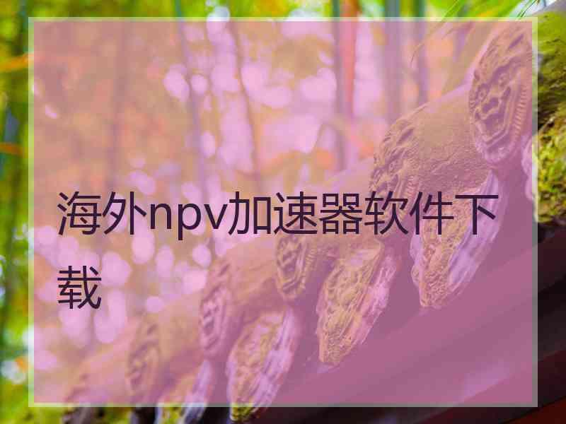 海外npv加速器软件下载