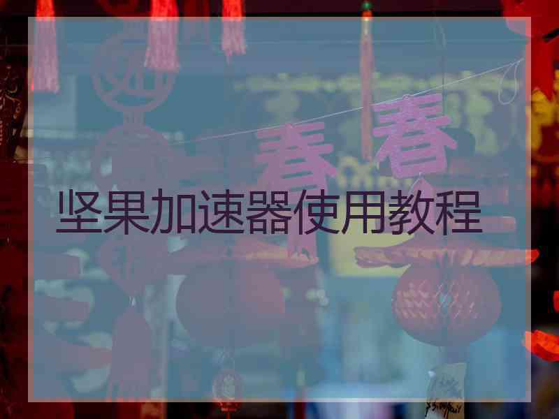 坚果加速器使用教程