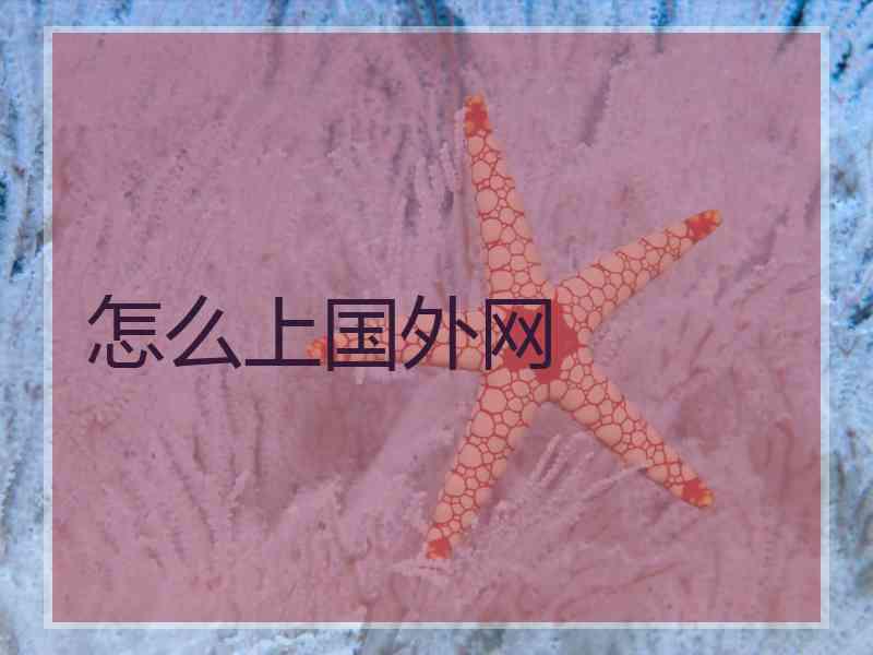 怎么上国外网
