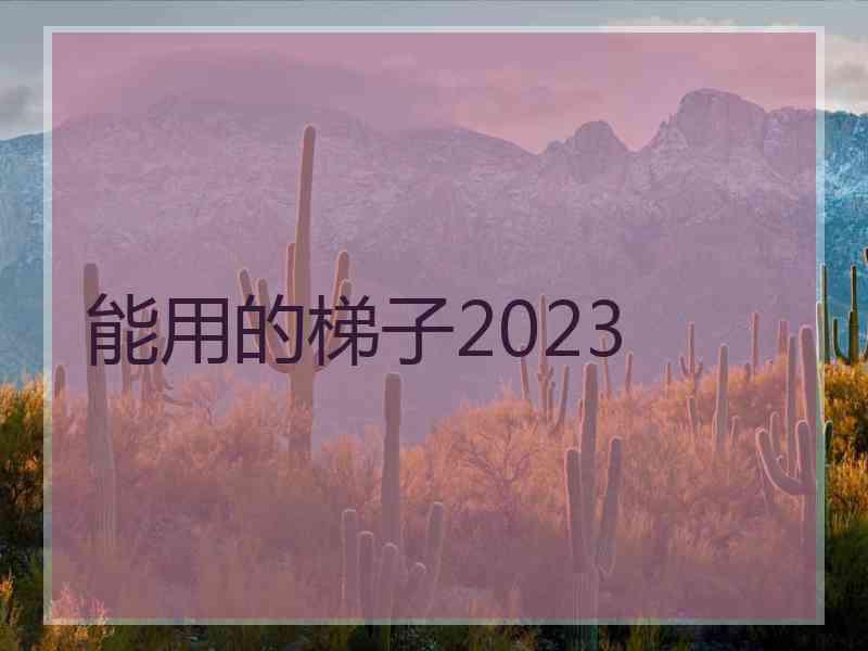 能用的梯子2023