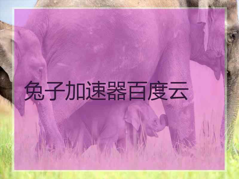 兔子加速器百度云