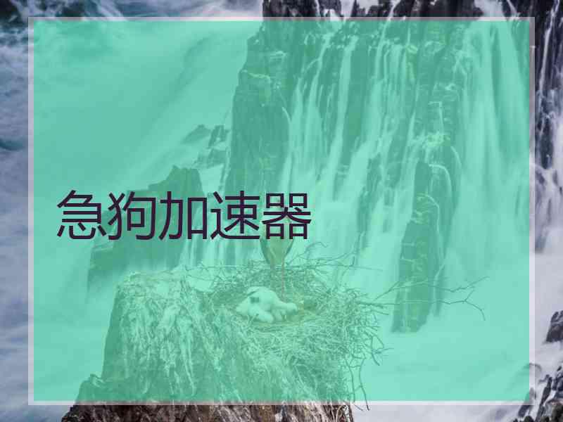 急狗加速器
