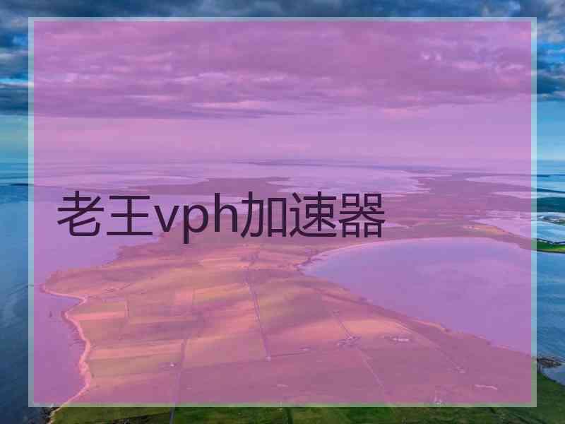 老王vph加速器