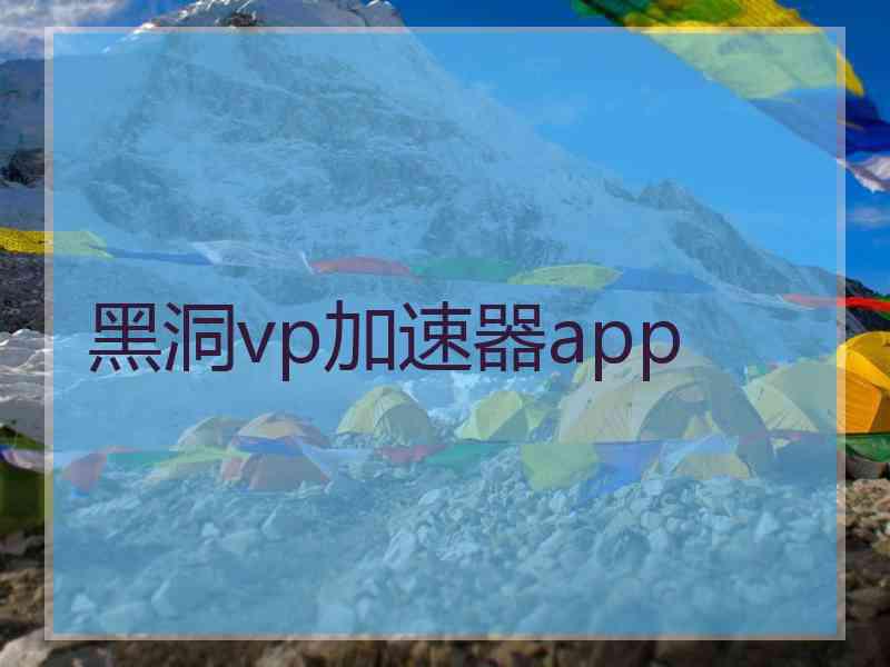 黑洞vp加速器app