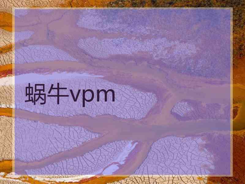 蜗牛vpm