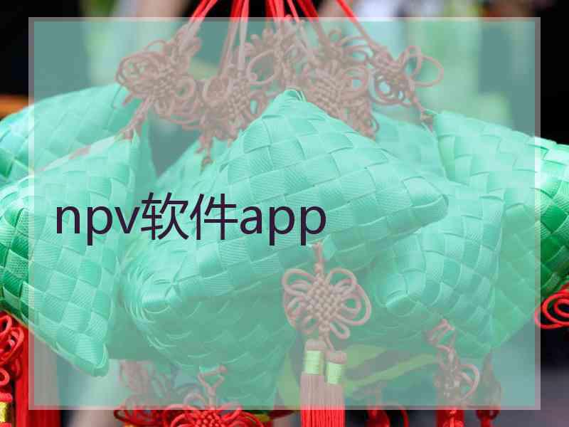 npv软件app