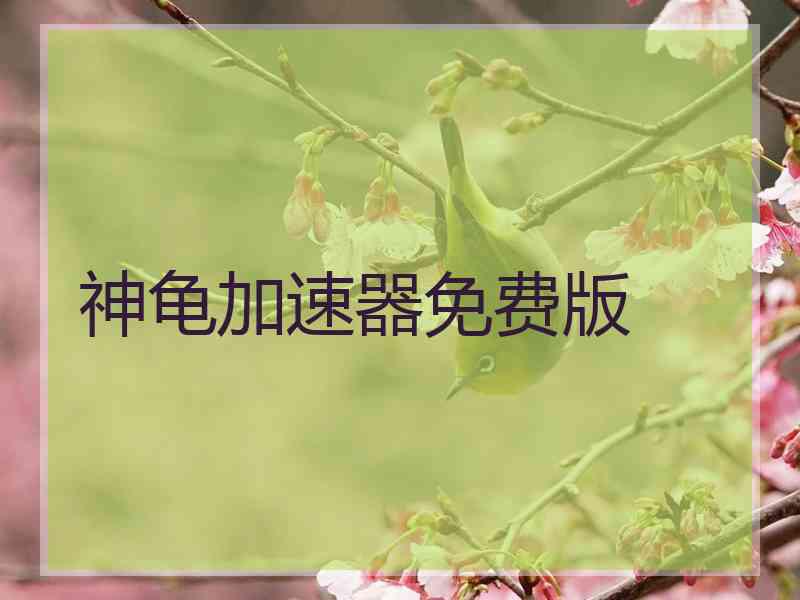 神龟加速器免费版