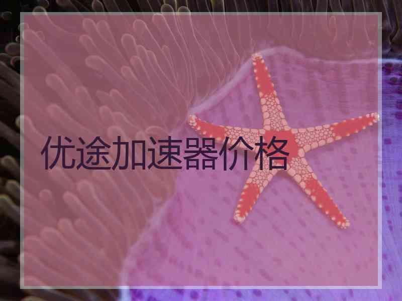 优途加速器价格
