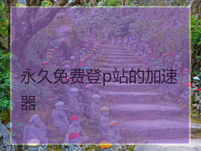 永久免费登p站的加速器