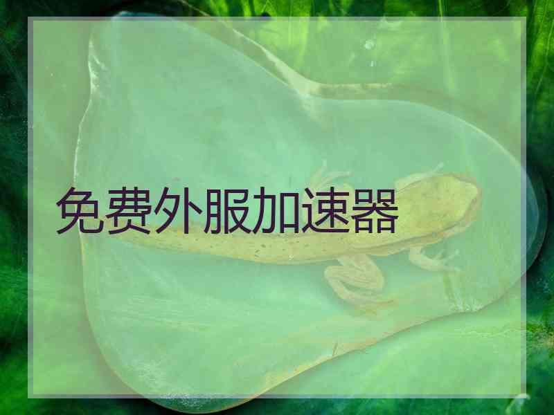 免费外服加速器