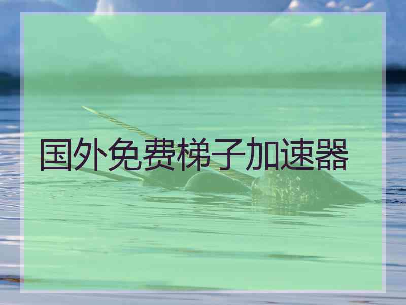 国外免费梯子加速器
