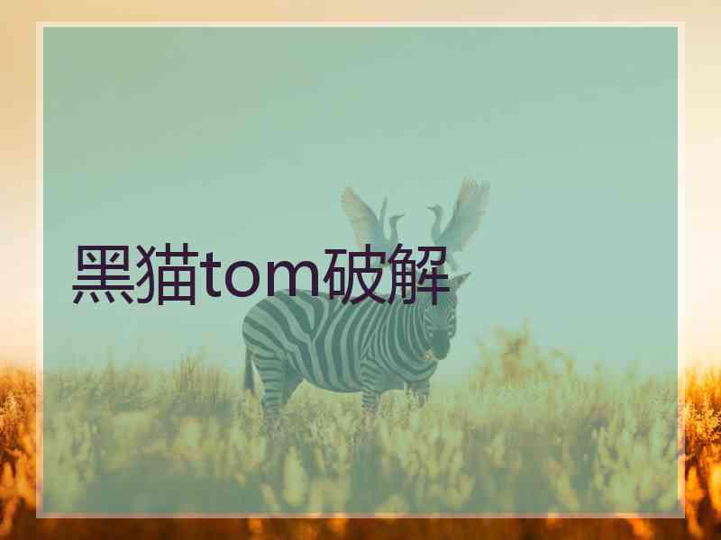 黑猫tom破解