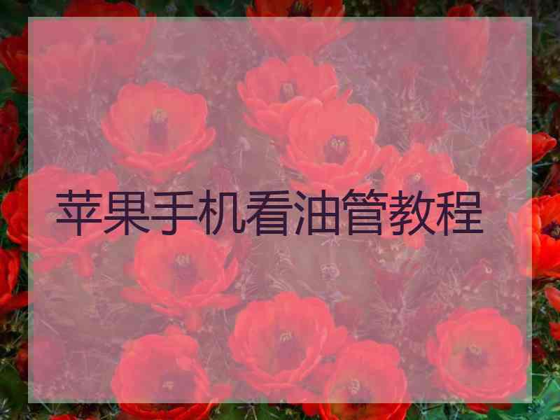 苹果手机看油管教程