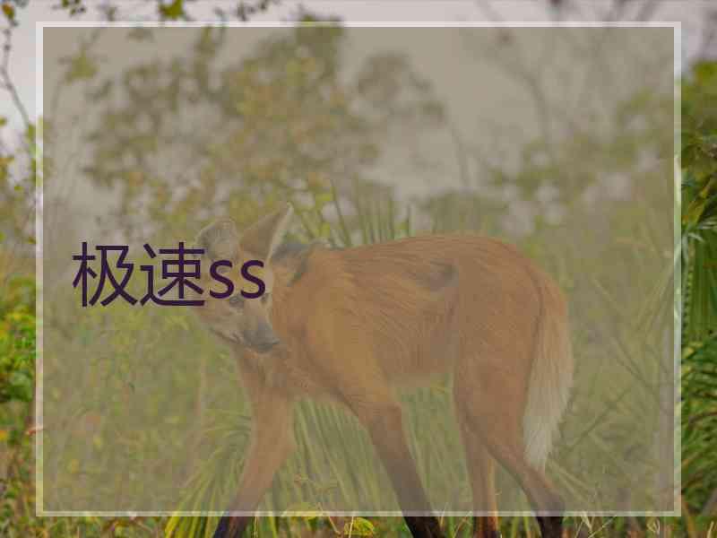 极速ss
