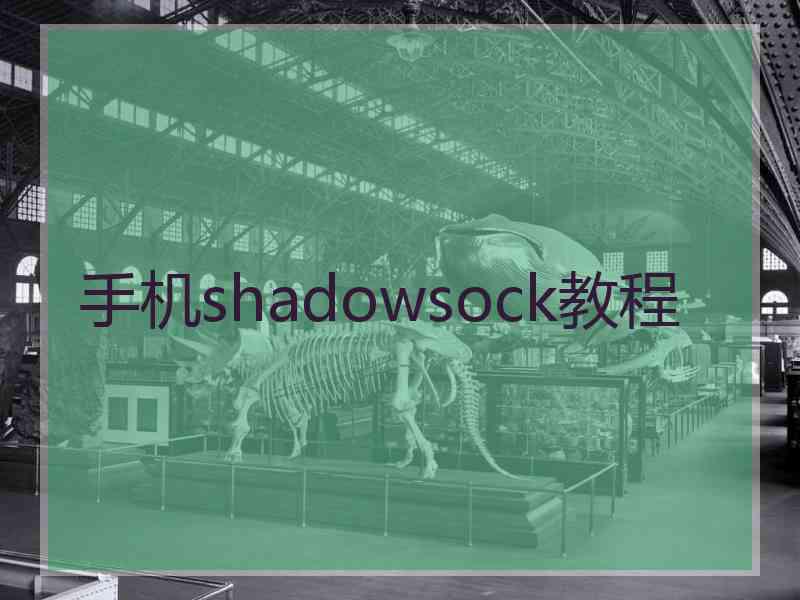 手机shadowsock教程