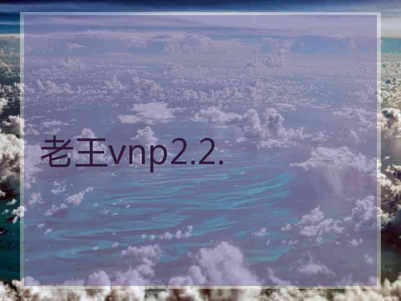 老王vnp2.2.