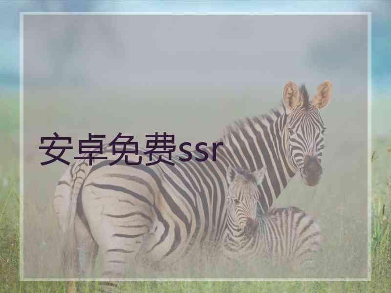 安卓免费ssr
