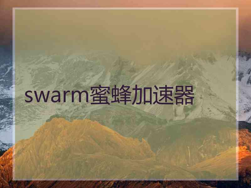 swarm蜜蜂加速器
