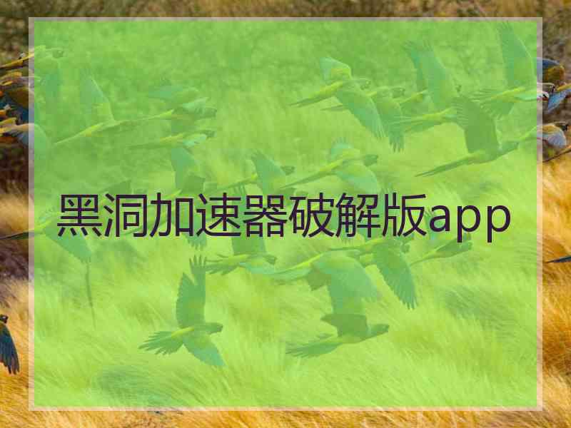 黑洞加速器破解版app