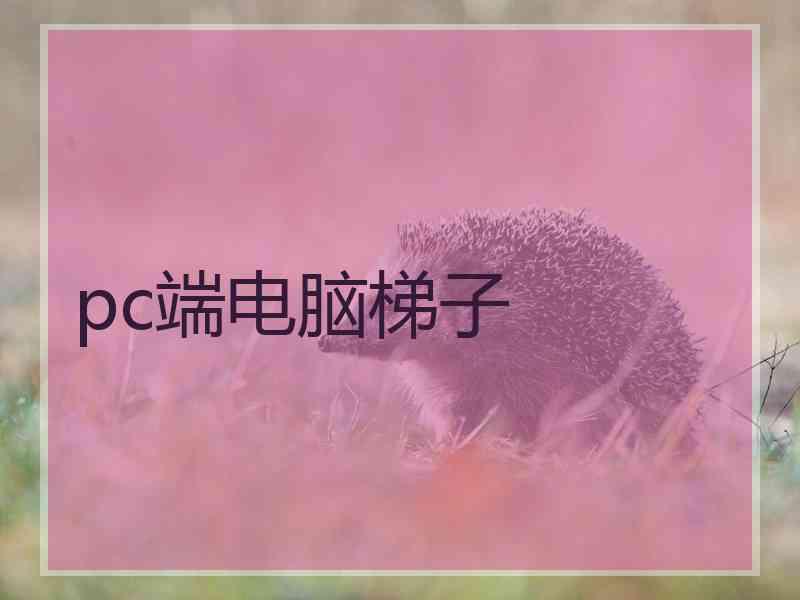 pc端电脑梯子
