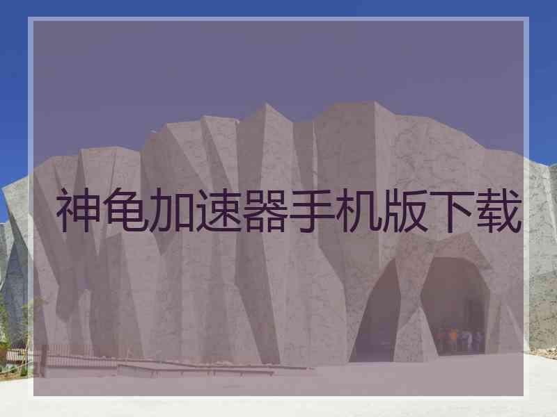 神龟加速器手机版下载
