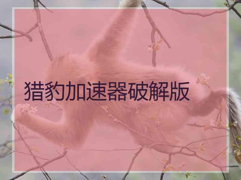 猎豹加速器破解版