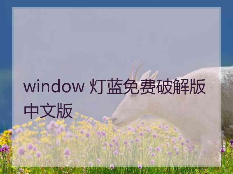 window 灯蓝免费破解版中文版