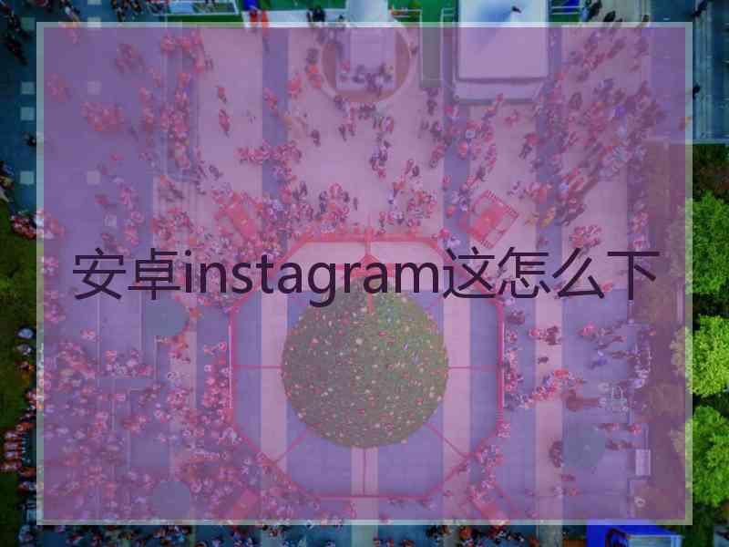 安卓instagram这怎么下