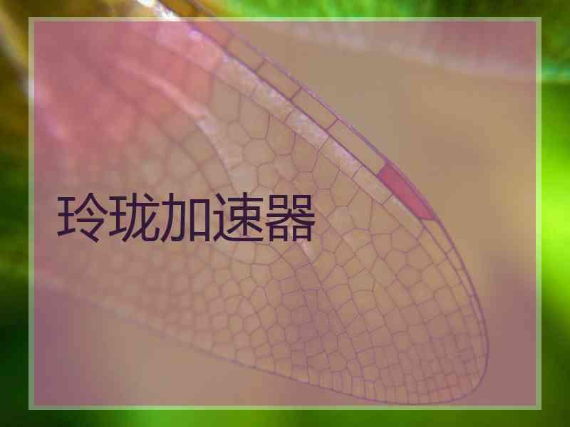 玲珑加速器