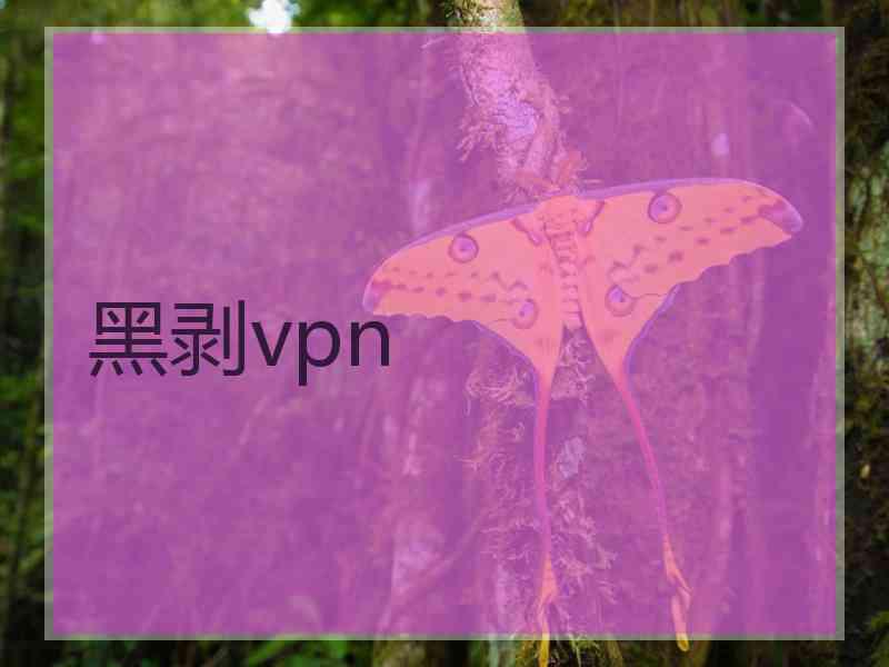 黑剥vpn