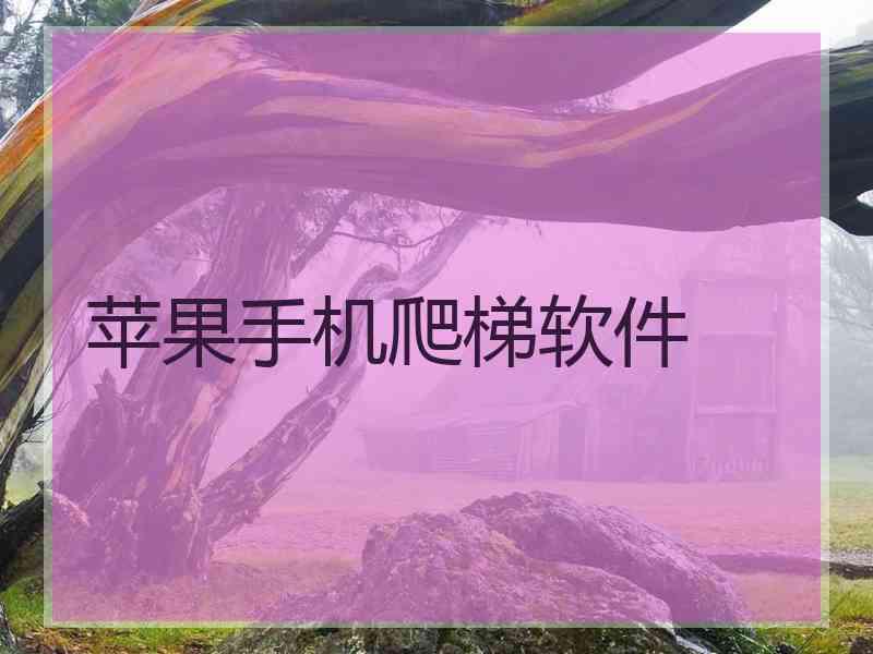 苹果手机爬梯软件