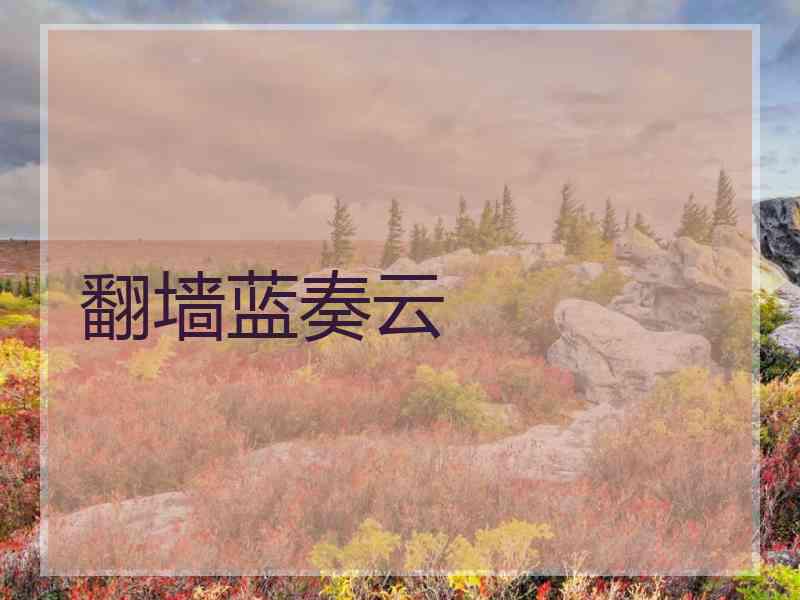 翻墙蓝奏云