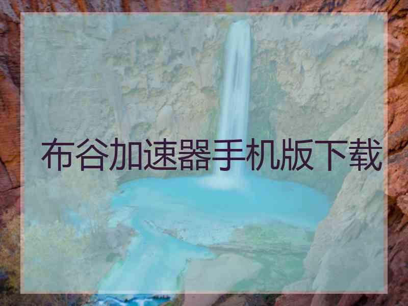 布谷加速器手机版下载