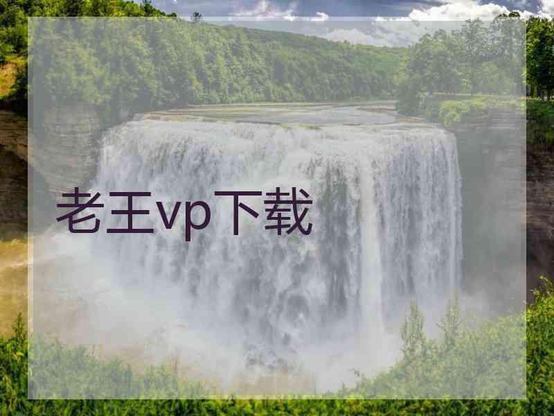 老王vp下载
