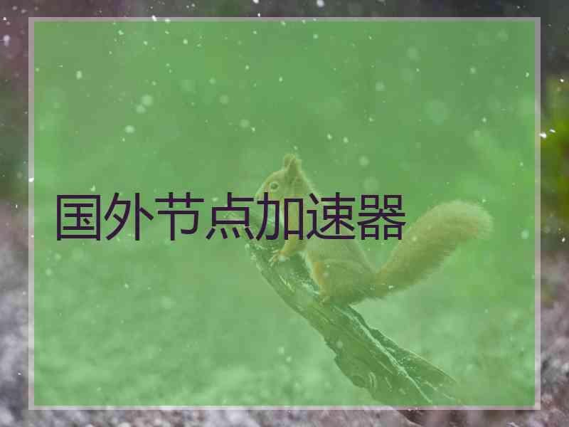 国外节点加速器