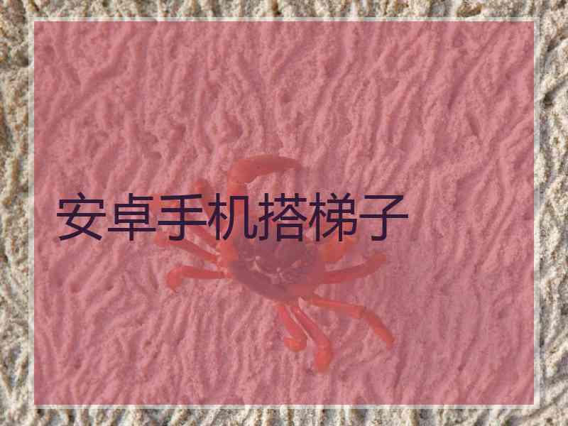 安卓手机搭梯子